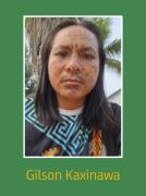 Gilson-Kaxinawa